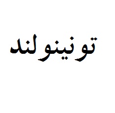 علامت تجاری تونينولند متعلق به شرکت صنعتی برتر