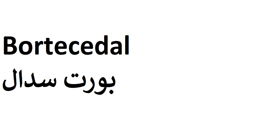 علامت تجاری بورت سدال  متعلق به شرکت سه دال نانو