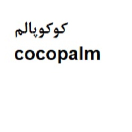 علامت تجاری كوكوپالم  متعلق به شرکت تولیدی بازرگانی رکسان ودارا