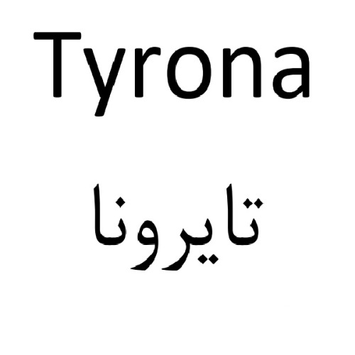علامت تجاری تايرونا متعلق به شرکت روناک