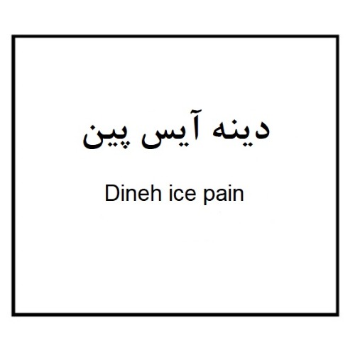 علامت تجاری دينه آيس پين  متعلق به شرکت مجتمع صنایع دینه ایران