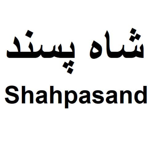 علامت تجاری شاه پسند متعلق به شرکت شاهسوند زرین