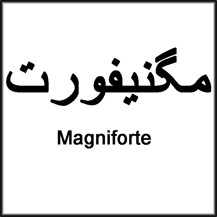 علامت تجاری مگنيفورت  متعلق به شرکت آرین سلامت سینا