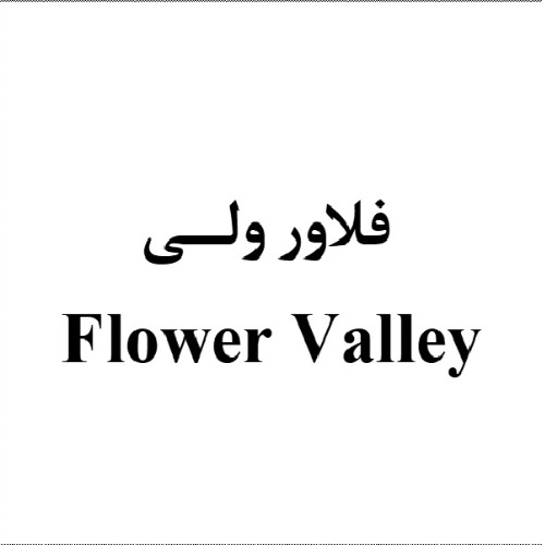 علامت تجاری فلاور ولي متعلق به شرکت عالیفرد