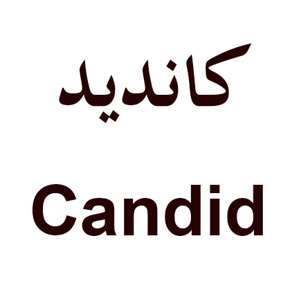 علامت تجاری كانديد  متعلق به شرکت بیسکویت حام