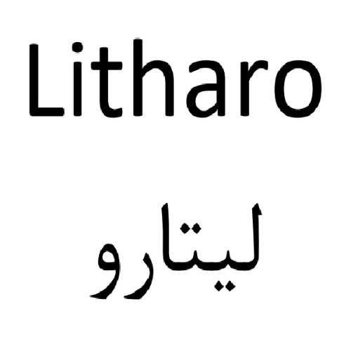 علامت تجاری ليتارو متعلق به شرکت روناک