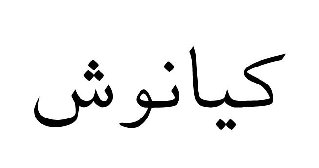 علامت تجاری كيانوش متعلق به شرکت داداش برادر
