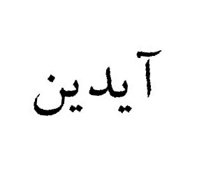 علامت تجاری آيدين متعلق به شرکت داداش برادر