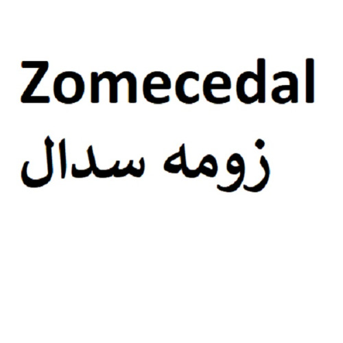 علامت تجاری زومه سدال  متعلق به شرکت سه دال نانو