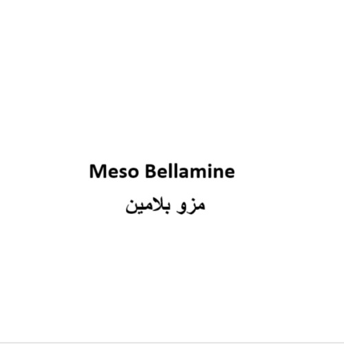 علامت تجاری مزو بلامين  متعلق به شرکت رسام طب آریا