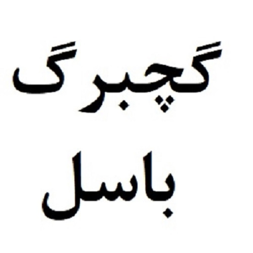علامت تجاری گچبرگ باسل متعلق به شرکت گروه صنعتی گچبرگ یزد