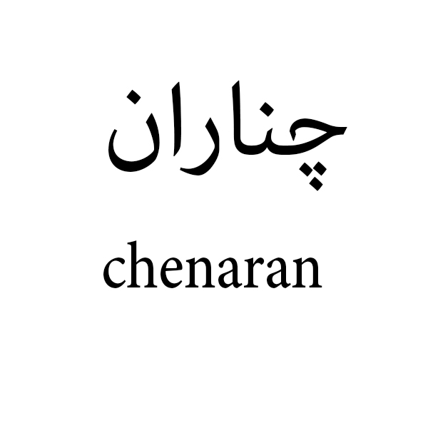 علامت تجاری چناران  متعلق به شرکت مهتاب طوس راه