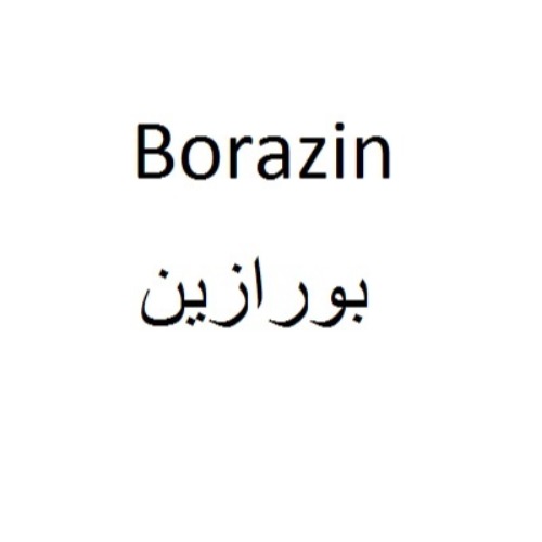 علامت تجاری بورازين متعلق به شرکت آرمان سبز آدینه