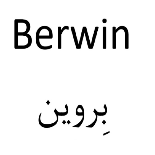 علامت تجاری بِروين متعلق به شرکت روناک