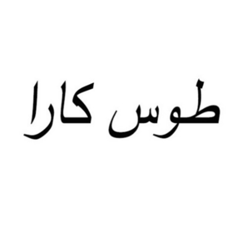 علامت تجاری طوس كارا متعلق به شرکت ایران ملاس