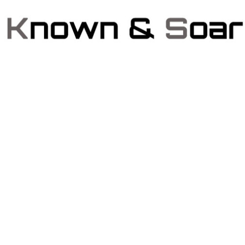 علامت تجاری & Soar متعلق به شرکت روغن موتور پردیس