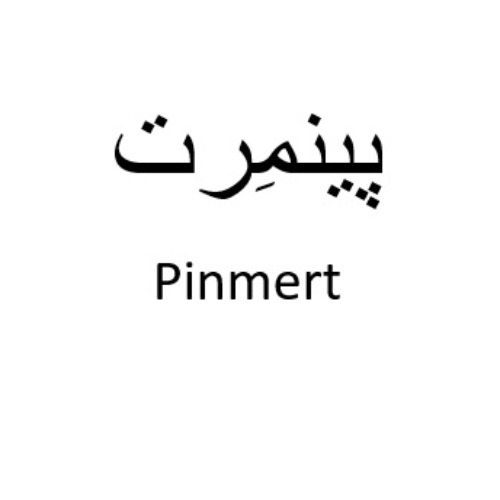 علامت تجاری پينمرت  متعلق به شرکت داروسازی دکتر عبیدی