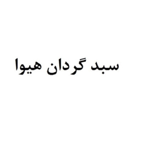 علامت تجاری سبد گردان هيوا متعلق به شرکت سبدگردان هیوا
