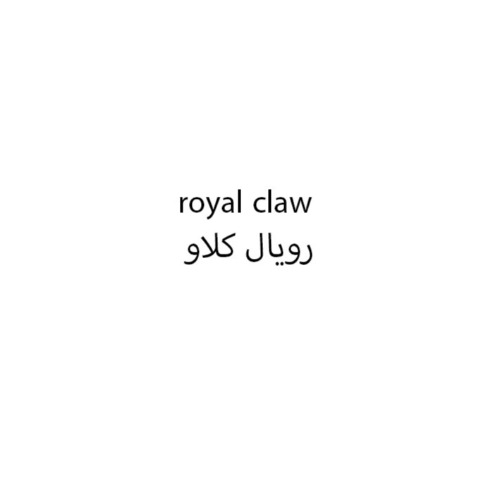 علامت تجاری رويال كلاو  متعلق به شرکت کنارک برودت