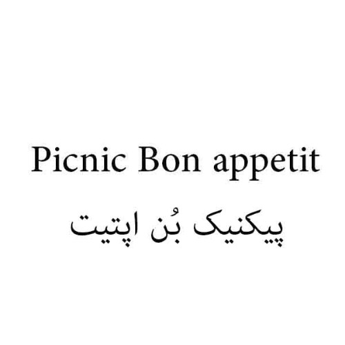 علامت تجاری پيكنيك بن اپتيت متعلق به شرکت تولیدی طب پلاستیک نوین