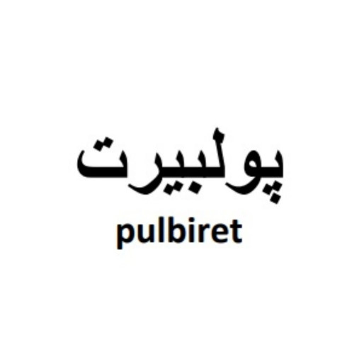 علامت تجاری پولبيرت  متعلق به شرکت اکتوورکو