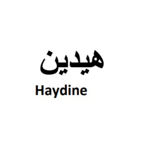 علامت تجاری هيدين  متعلق به شرکت اکتوورکو