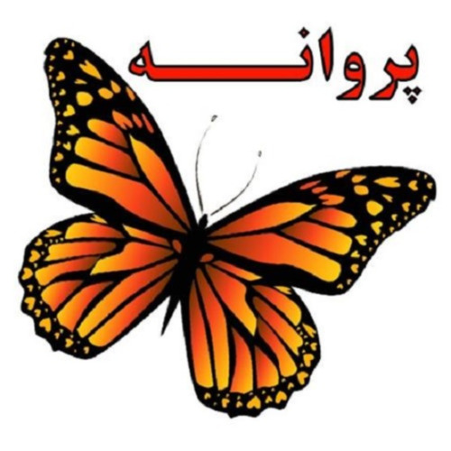 علامت تجاری پروانه متعلق به شرکت سی تو پک سحر اروند