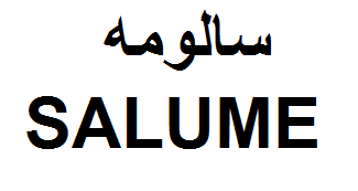 علامت تجاری سالومه  متعلق به شرکت مهتاب طوس راه