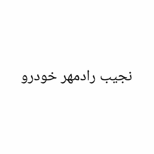 علامت تجاری نجيب رادمهر خودرو متعلق به شرکت نفیس خودروی مهر