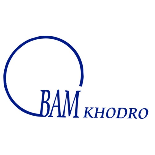 علامت تجاری  متعلق به شرکت خدمات و تجارت بم خودرو