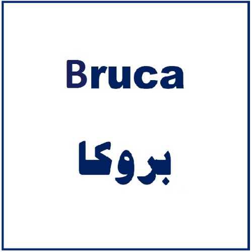 علامت تجاری بروكا متعلق به شرکت زیست تخمیر