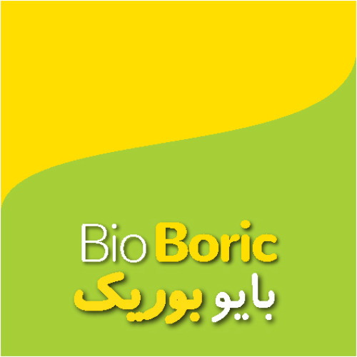 علامت تجاری بايوبوريك  متعلق به شرکت تک ژن زیست