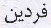 علامت تجاری فردين متعلق به شرکت شهدآفرین پایتخت