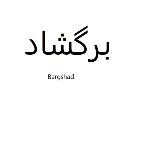 علامت تجاری برگشاد  متعلق به شرکت نگین شهد شهران