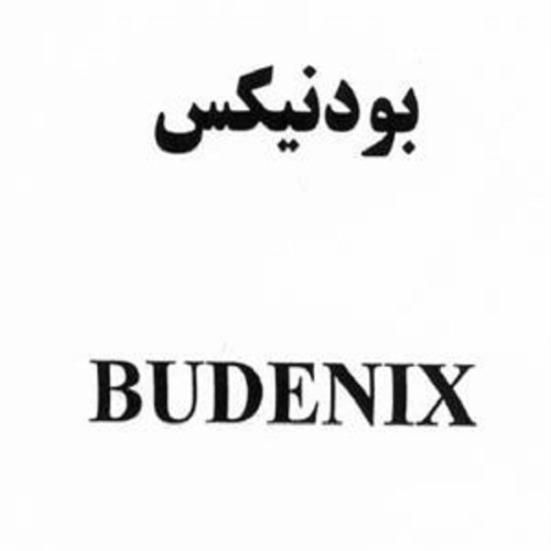 علامت تجاری بودنيكس متعلق به شرکت داروسازی جابرابن حیان
