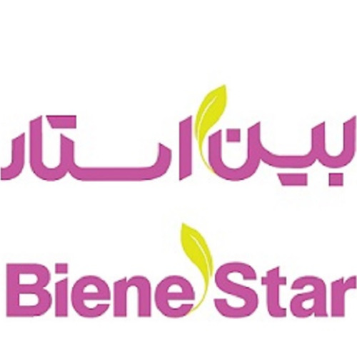 علامت تجاری بين استار متعلق به شرکت بازار یابان ایرانیان زمین