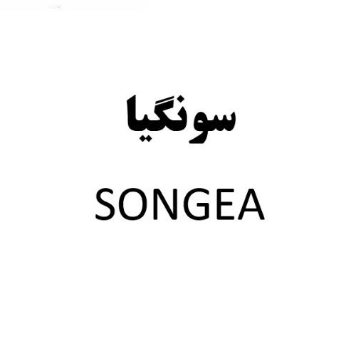 علامت تجاری سونگيا  متعلق به شرکت کاشی برج اردکان