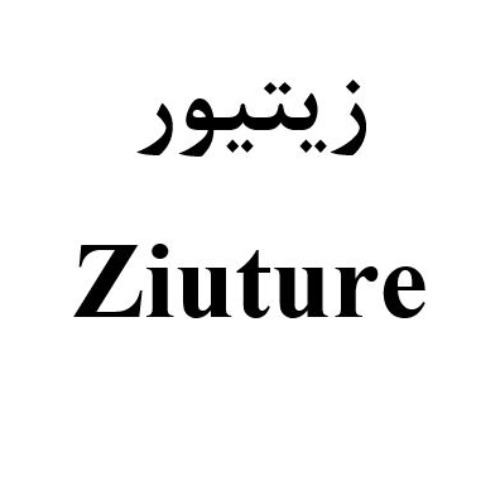 علامت تجاری زيتيور  متعلق به شرکت فناوری اطلاعات و ارتباطات پاسارگاد آریان