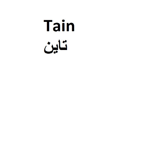 علامت تجاری تاين متعلق به شرکت صنایع توسعه ساختمان آروشا