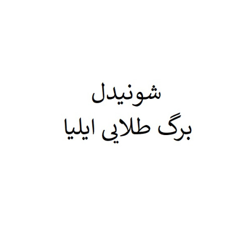 علامت تجاری شونيدل برگ طلايي ايليا متعلق به شرکت برگ طلایی ایلیا