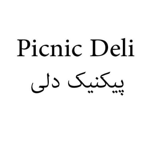 علامت تجاری پيكنيك دلي متعلق به شرکت تولیدی طب پلاستیک نوین