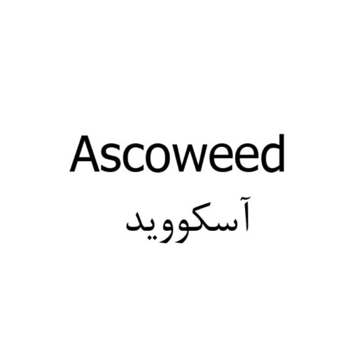 علامت تجاری آسكوويد متعلق به شرکت تعاونی ششصد و هفتاد و هفت آریا شیمی