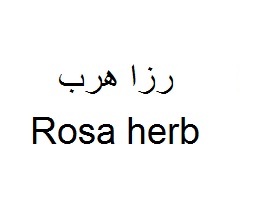 علامت تجاری رزا هرب  متعلق به شرکت آرایشی و بهداشتی نگارین گستر کیمیا