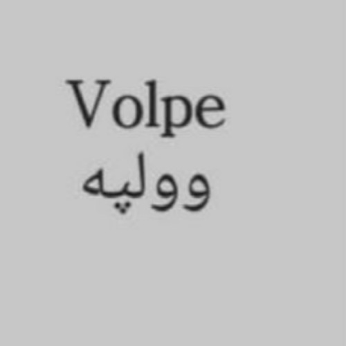علامت تجاری وولپه متعلق به شرکت کن تجارت آریا