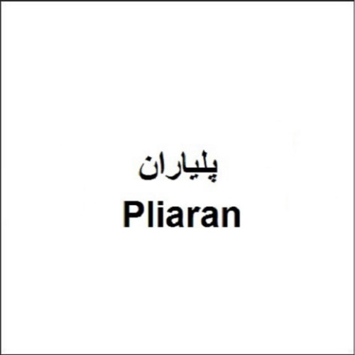 علامت تجاری پرونده اختراع - پلياران   متعلق به شرکت اهران تجارت