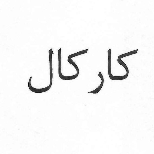 علامت تجاری كاركال متعلق به شرکت ماه آراتندیس