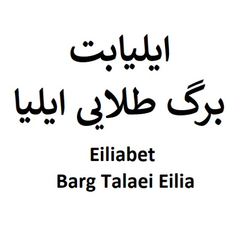علامت تجاری ايليابت برگ طلايي ايليا متعلق به شرکت برگ طلایی ایلیا