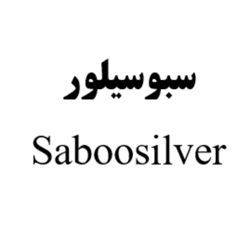 علامت تجاری سبوسيلور  متعلق به شرکت بیسکویت گرجی