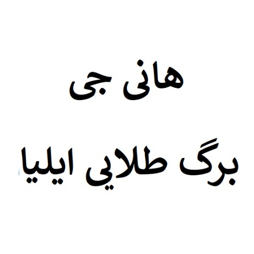 علامت تجاری هاني جي برگ طلايي ايليا متعلق به شرکت برگ طلایی ایلیا