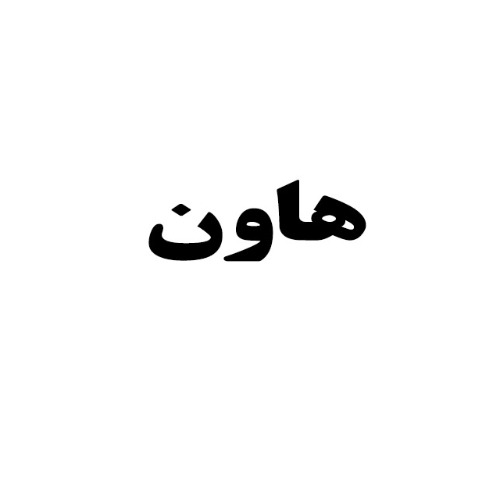 علامت تجاری هاون متعلق به شرکت نگین فام صبای شرق